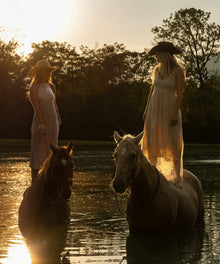 Cowgirls for Life by Hannah Ladd