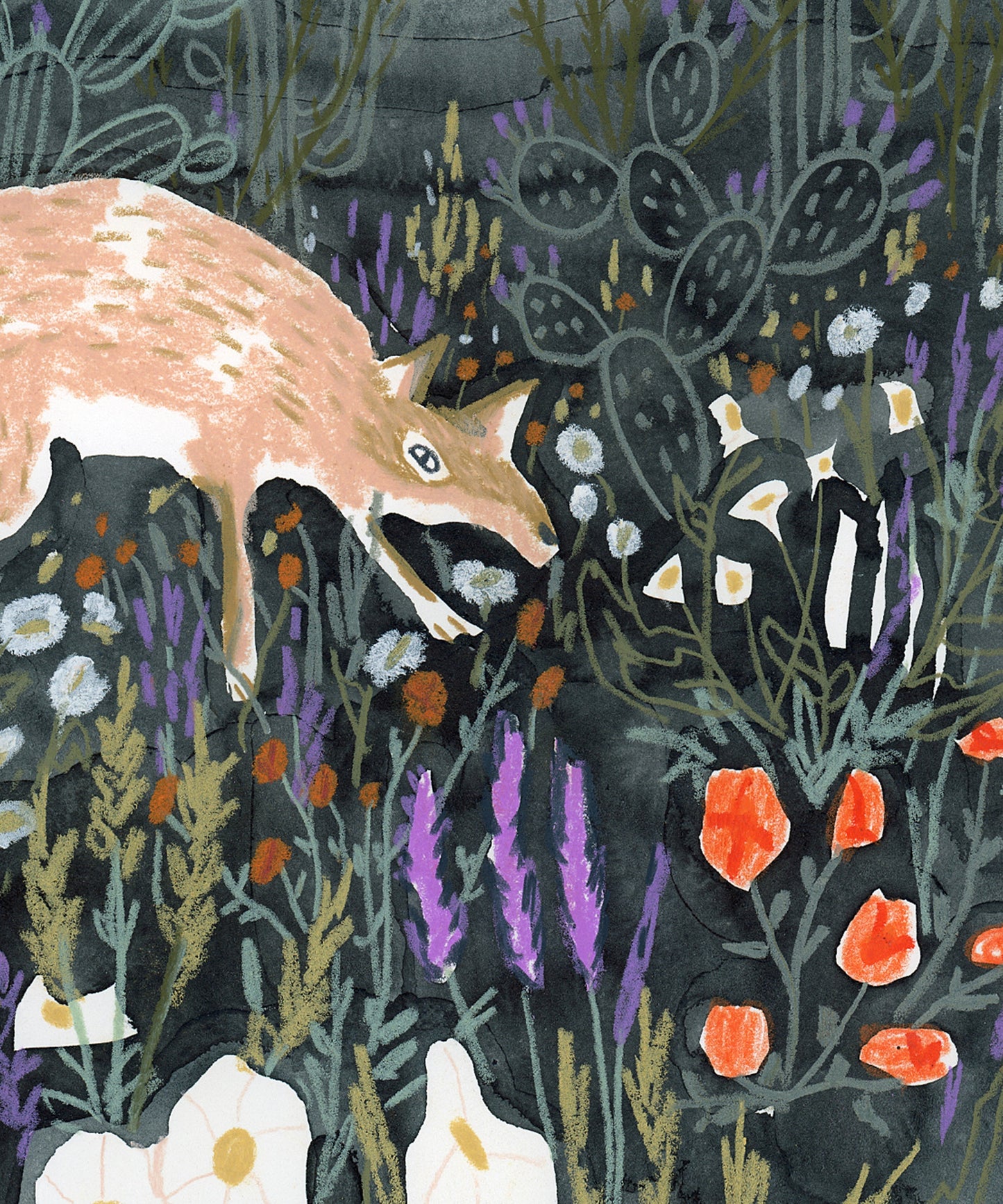 Coyote in Flowers by Melissa Lakey