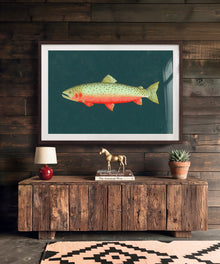 Cutthroat Trout by Hannah Ervick