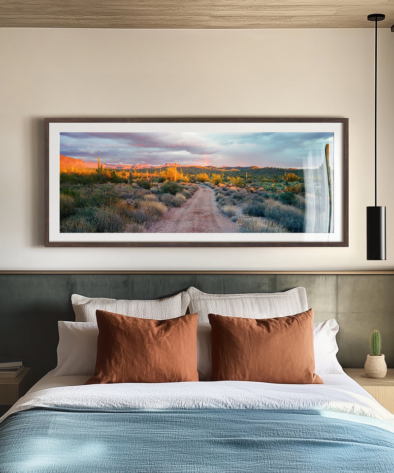 Coyote Rain by Cam Mackey