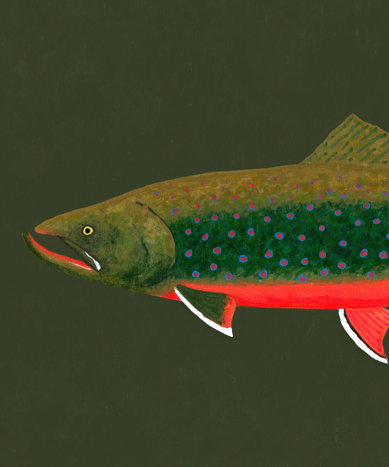 Dolly Varden Trout by Hannah Ervick