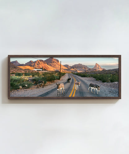 Donkey Highway by Cam Mackey