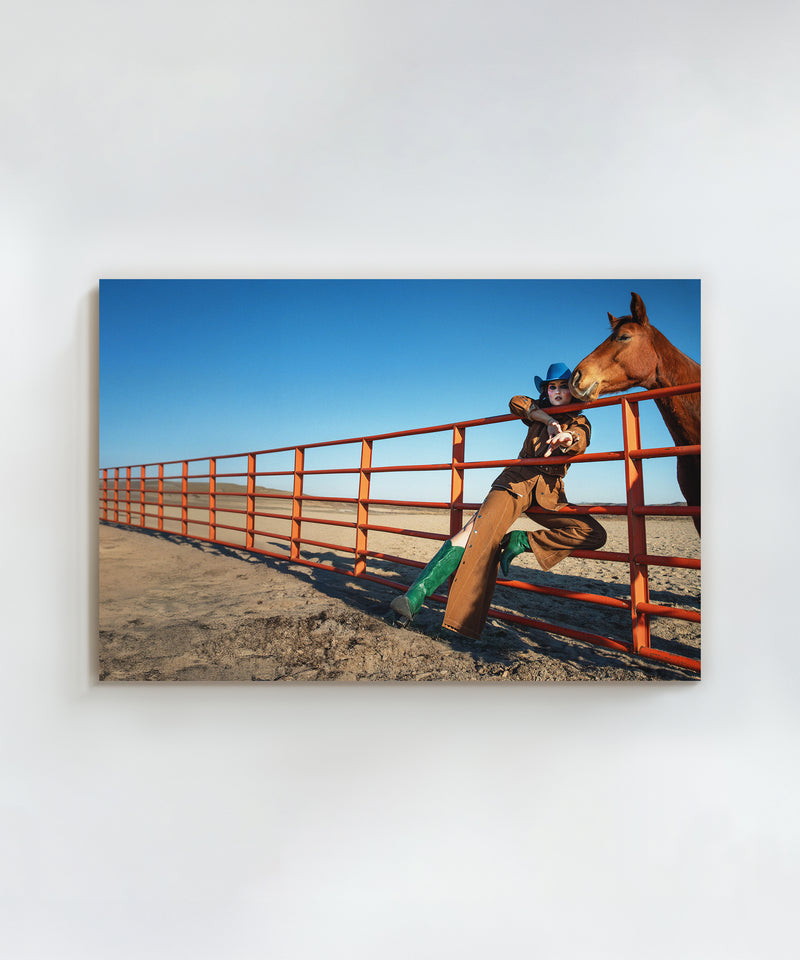 Fenced In by Hannah Ladd