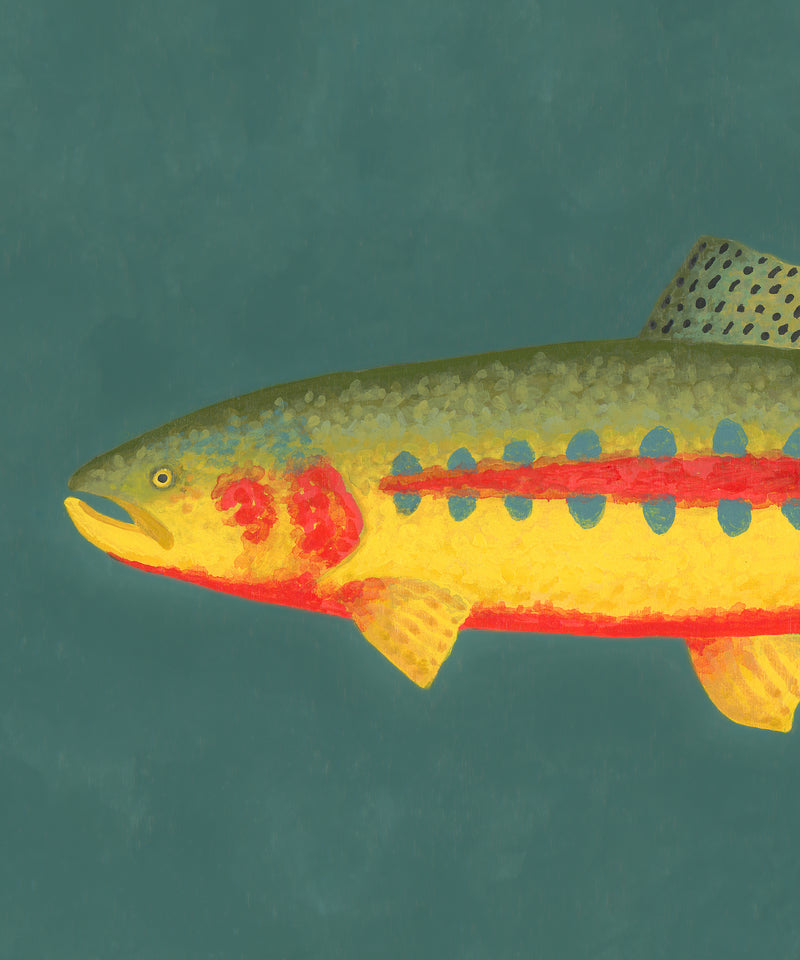 Golden Trout by Hannah Ervick