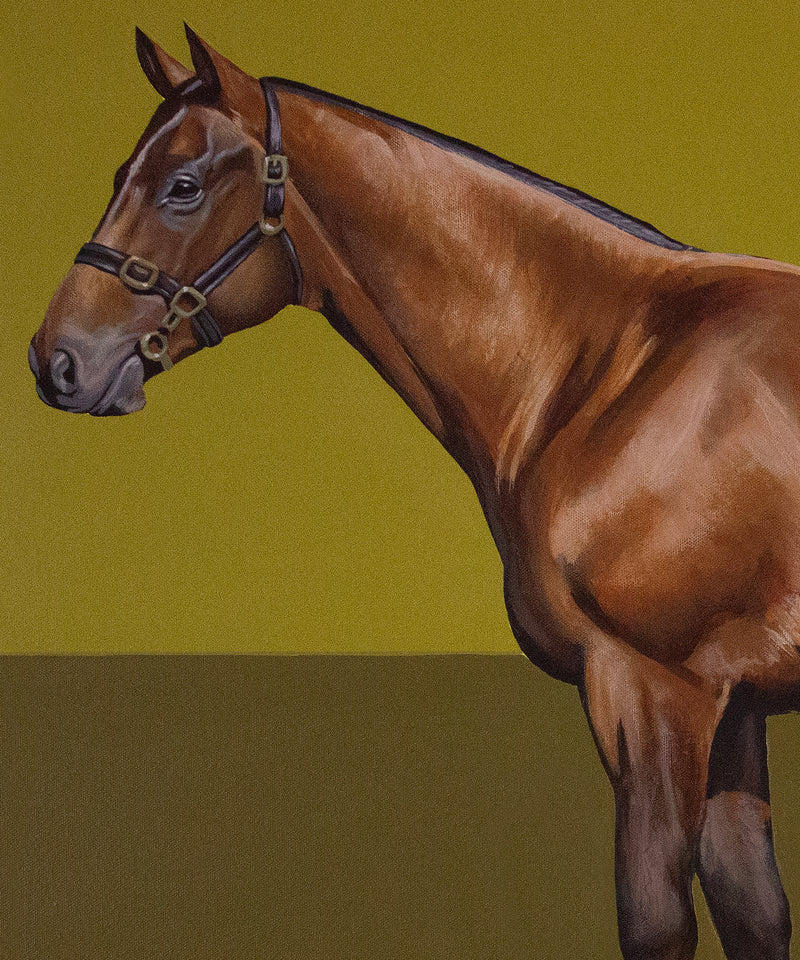 Color Field Horse #1 by Tanner Muse