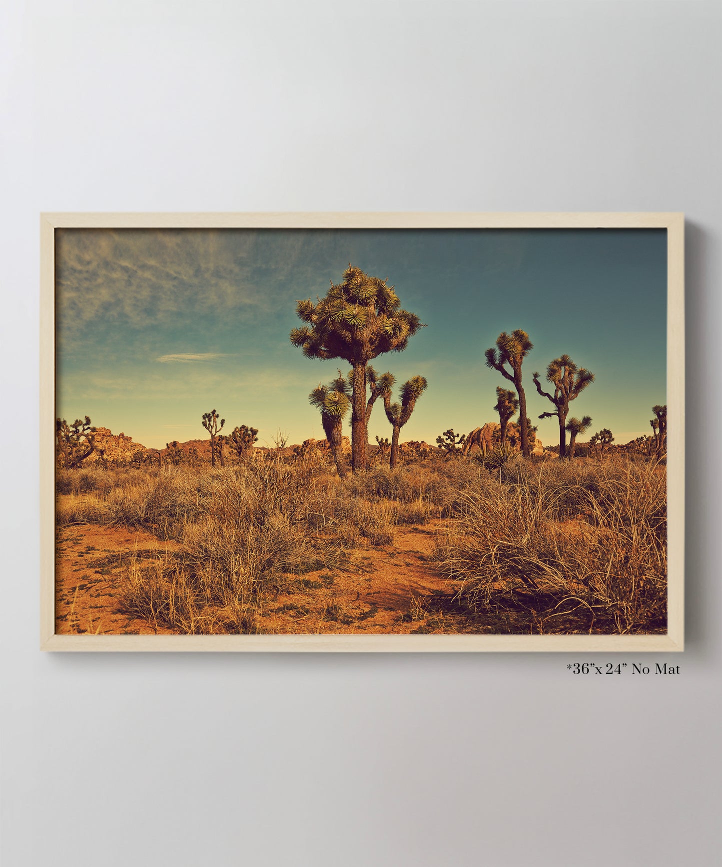 Joshua Tree Landscape #1 by Zachary C. Bako