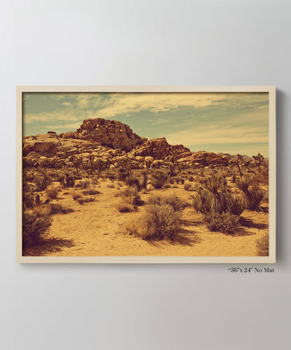 Joshua Tree Landscape #2 by Zachary C. Bako