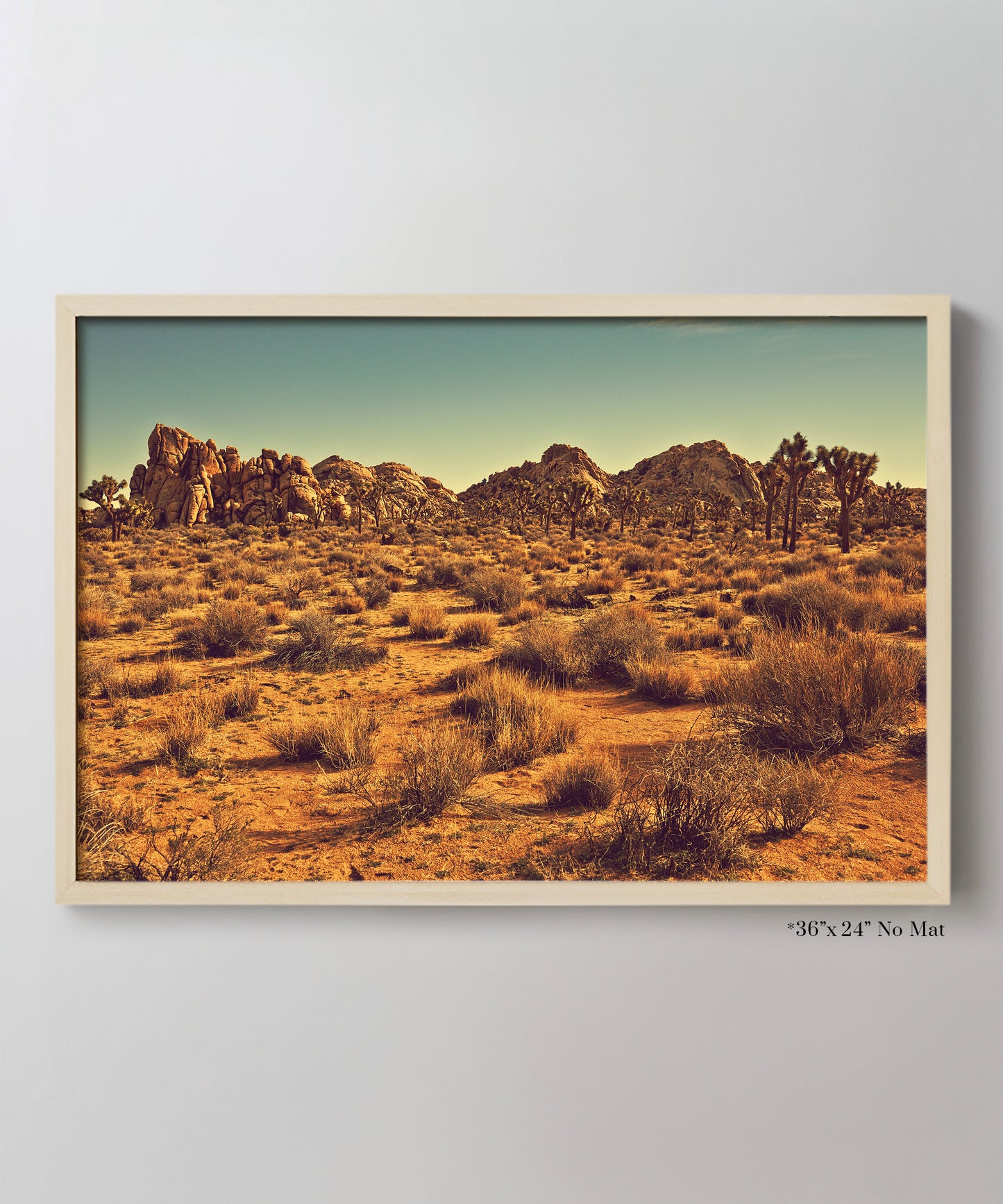 Joshua Tree Landscape #3 by Zachary C. Bako