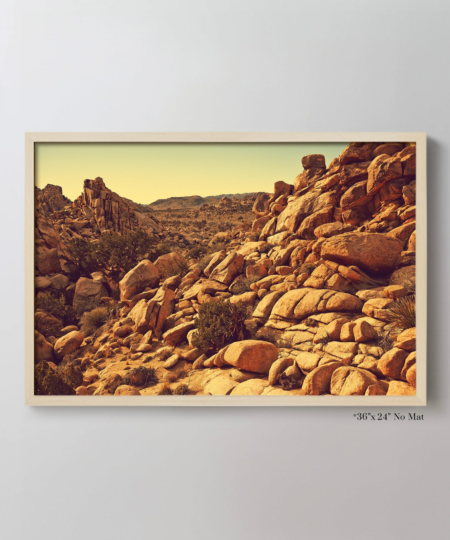 Joshua Tree Landscape #4 by Zachary C. Bako