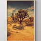 Joshua Tree Landscape #5 by Zachary C. Bako
