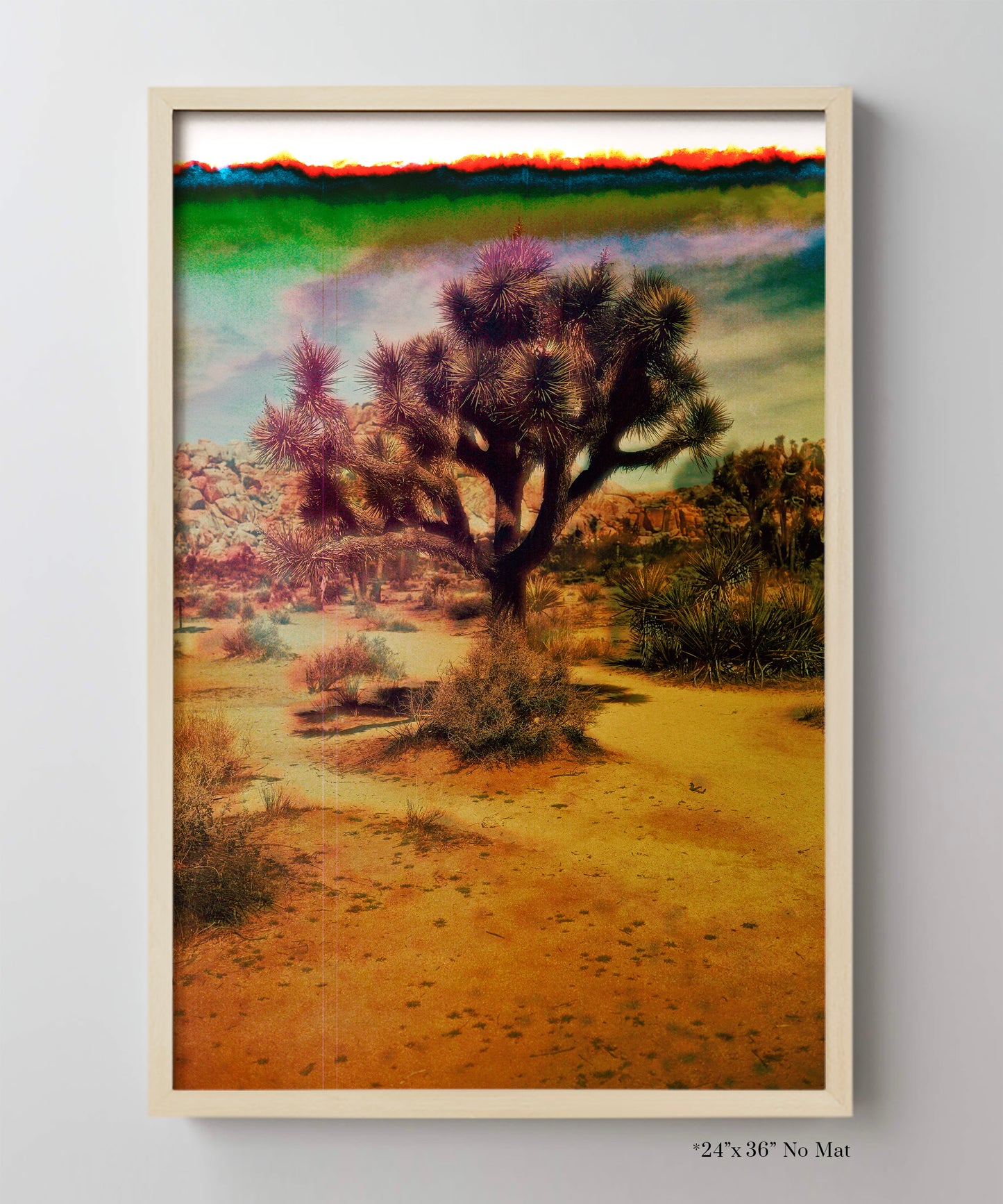 Joshua Tree Landscape #6 by Zachary C. Bako