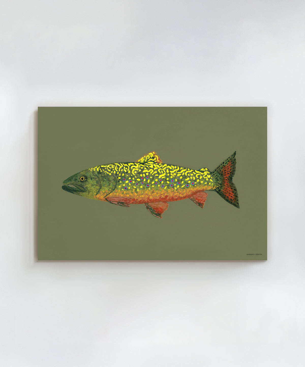 Brook Trout by Hannah Ervick