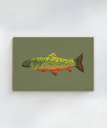 Brook Trout by Hannah Ervick