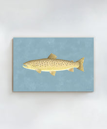 Brown Trout by Hannah Ervick