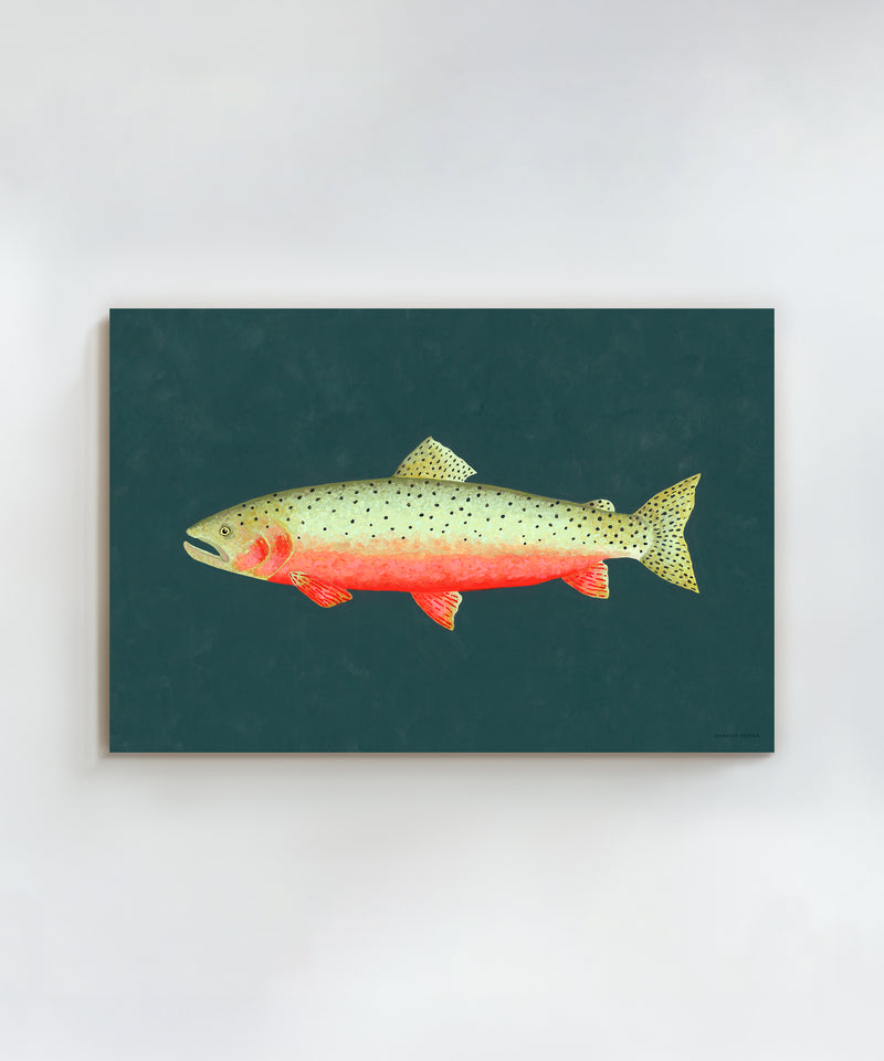 Cutthroat Trout by Hannah Ervick
