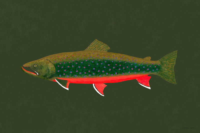 Dolly Varden Trout by Hannah Ervick