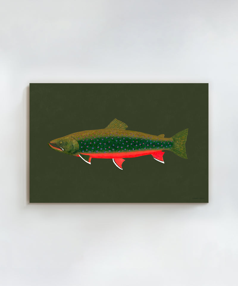 Dolly Varden Trout by Hannah Ervick