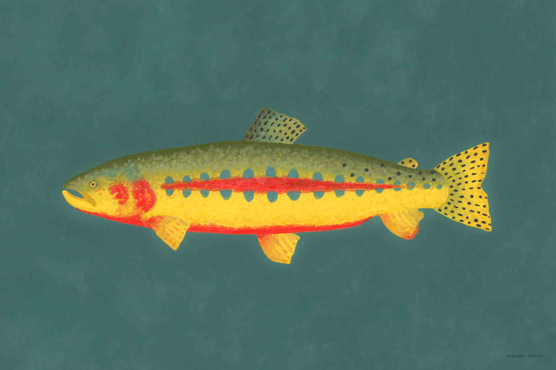 Golden Trout by Hannah Ervick