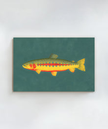 Golden Trout by Hannah Ervick