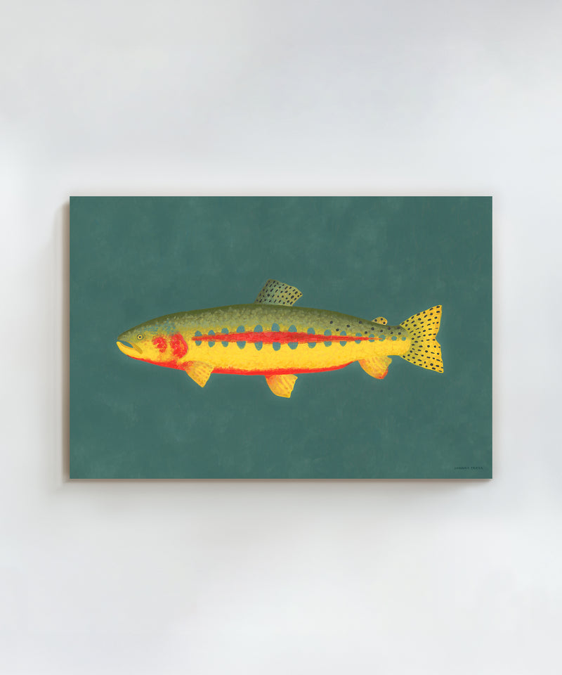 Golden Trout by Hannah Ervick