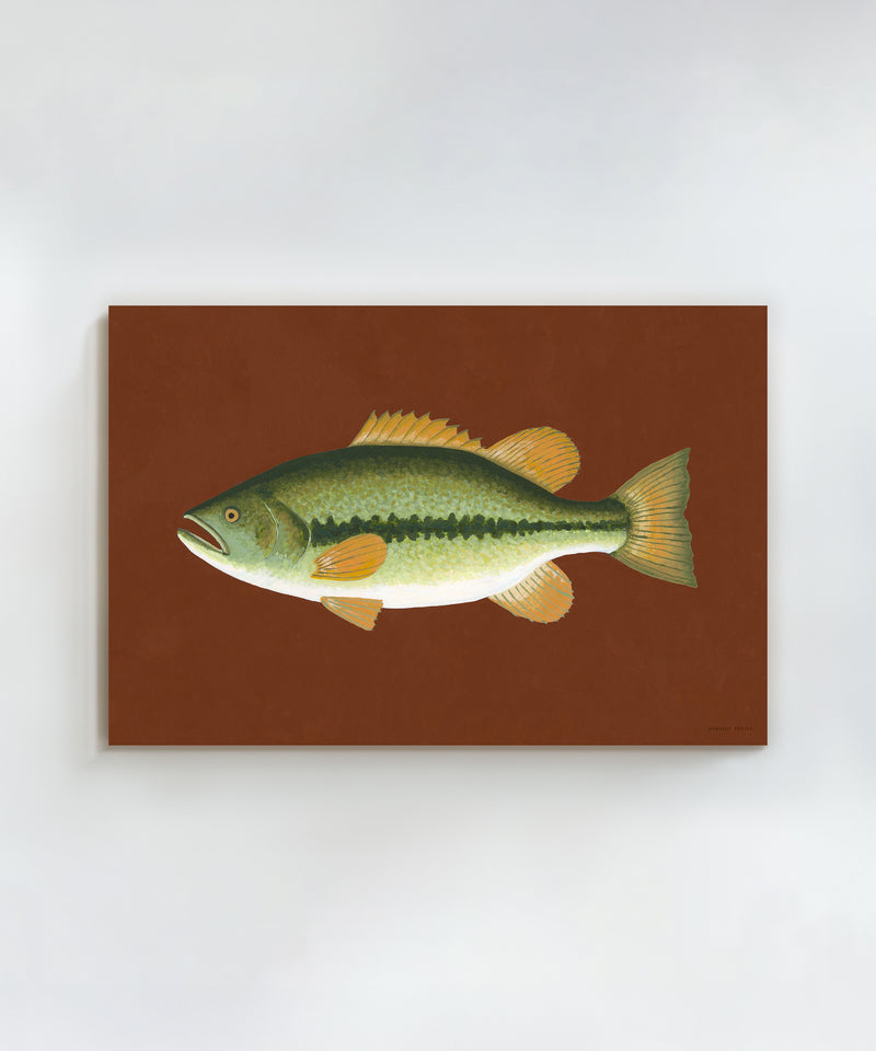 Largemouth Bass by Hannah Ervick