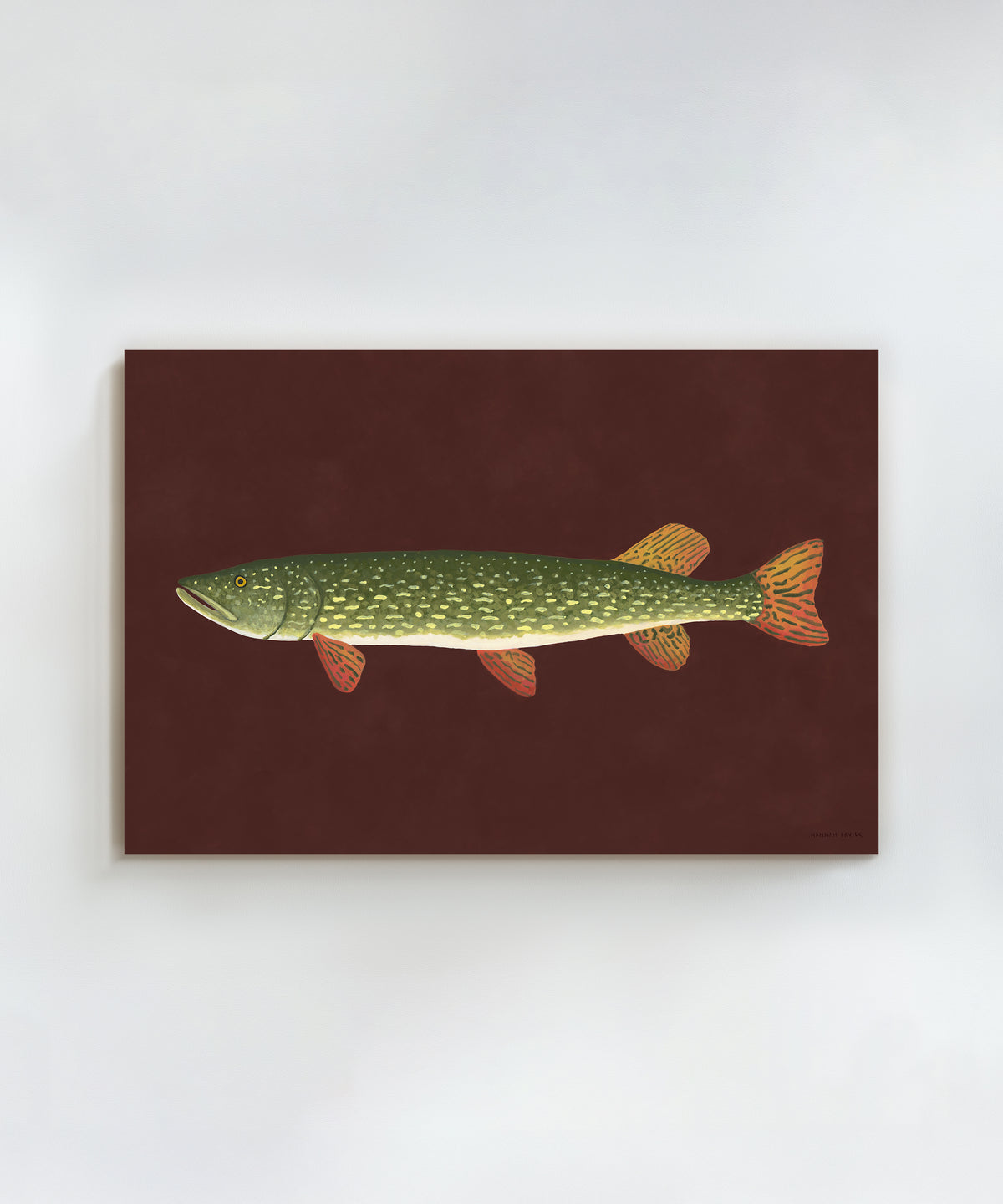 Northern Pike by Hannah Ervick
