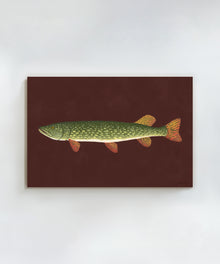 Northern Pike by Hannah Ervick