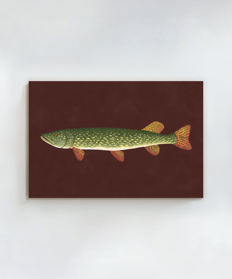 Northern Pike by Hannah Ervick