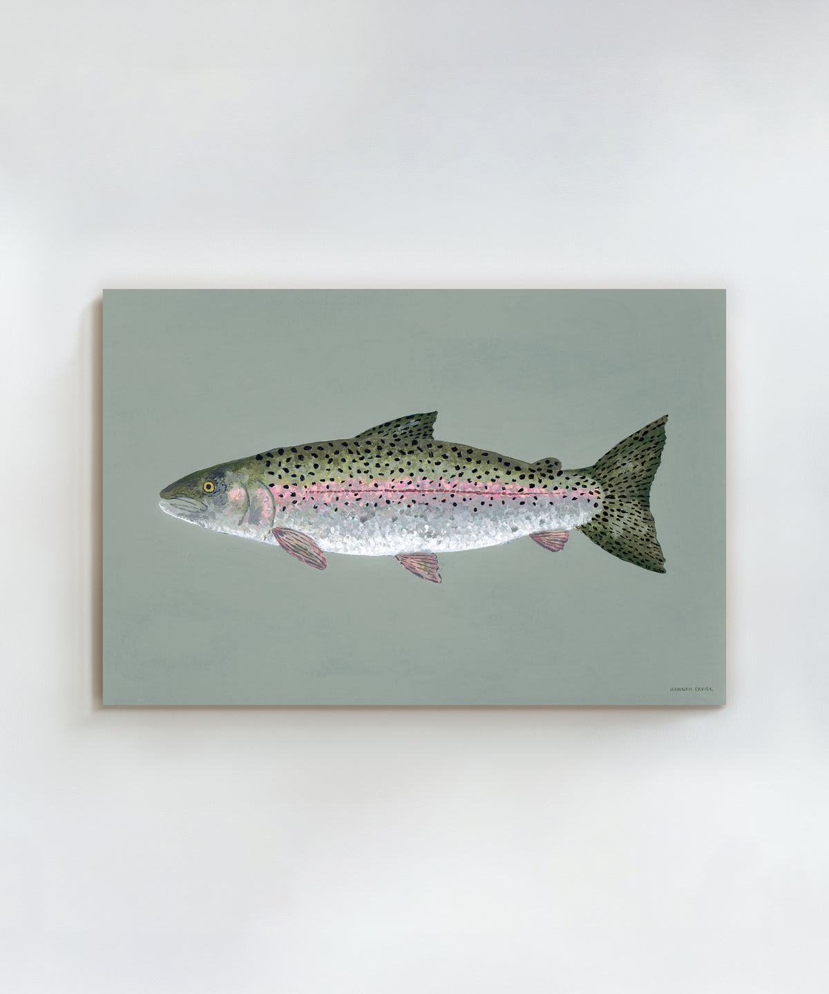 Rainbow Trout by Hannah Ervick