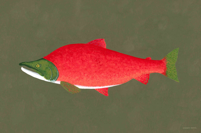 Sockeye Salmon by Hannah Ervick