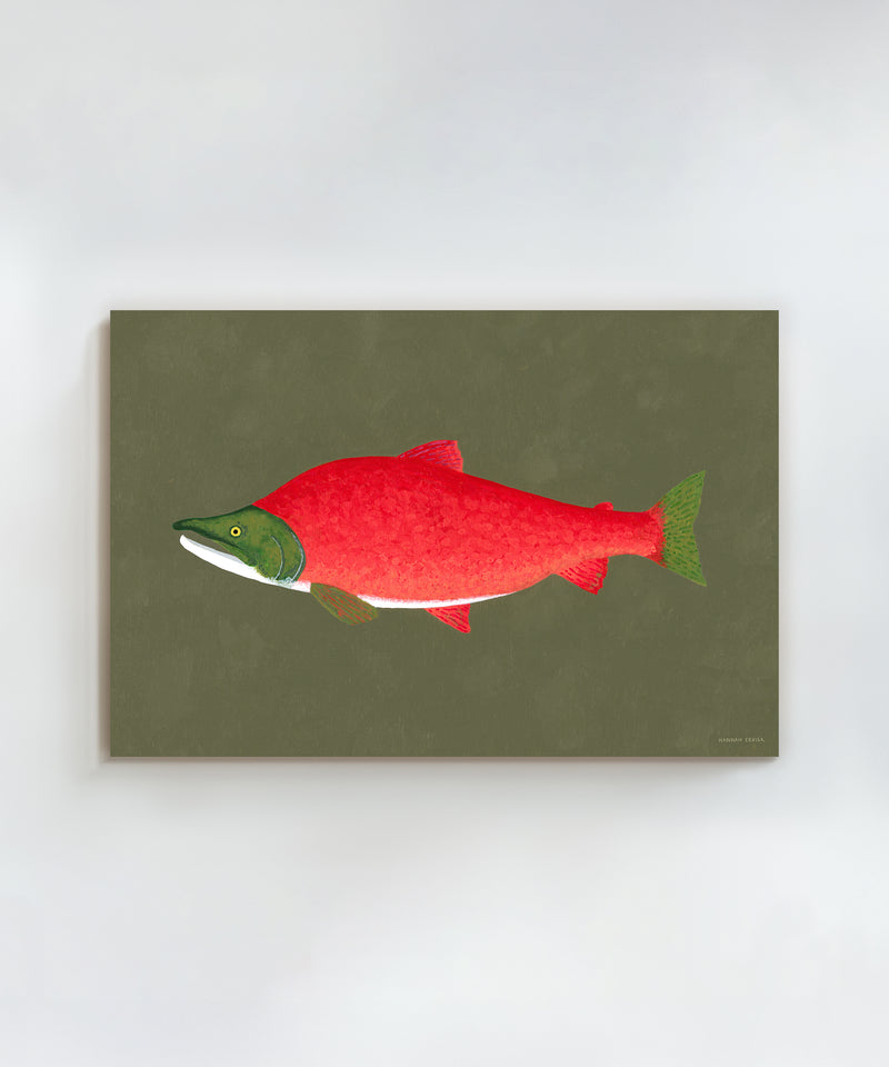 Sockeye Salmon by Hannah Ervick