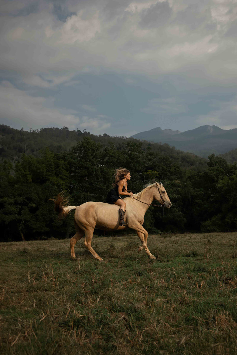 Wild and Free by Hannah Ladd