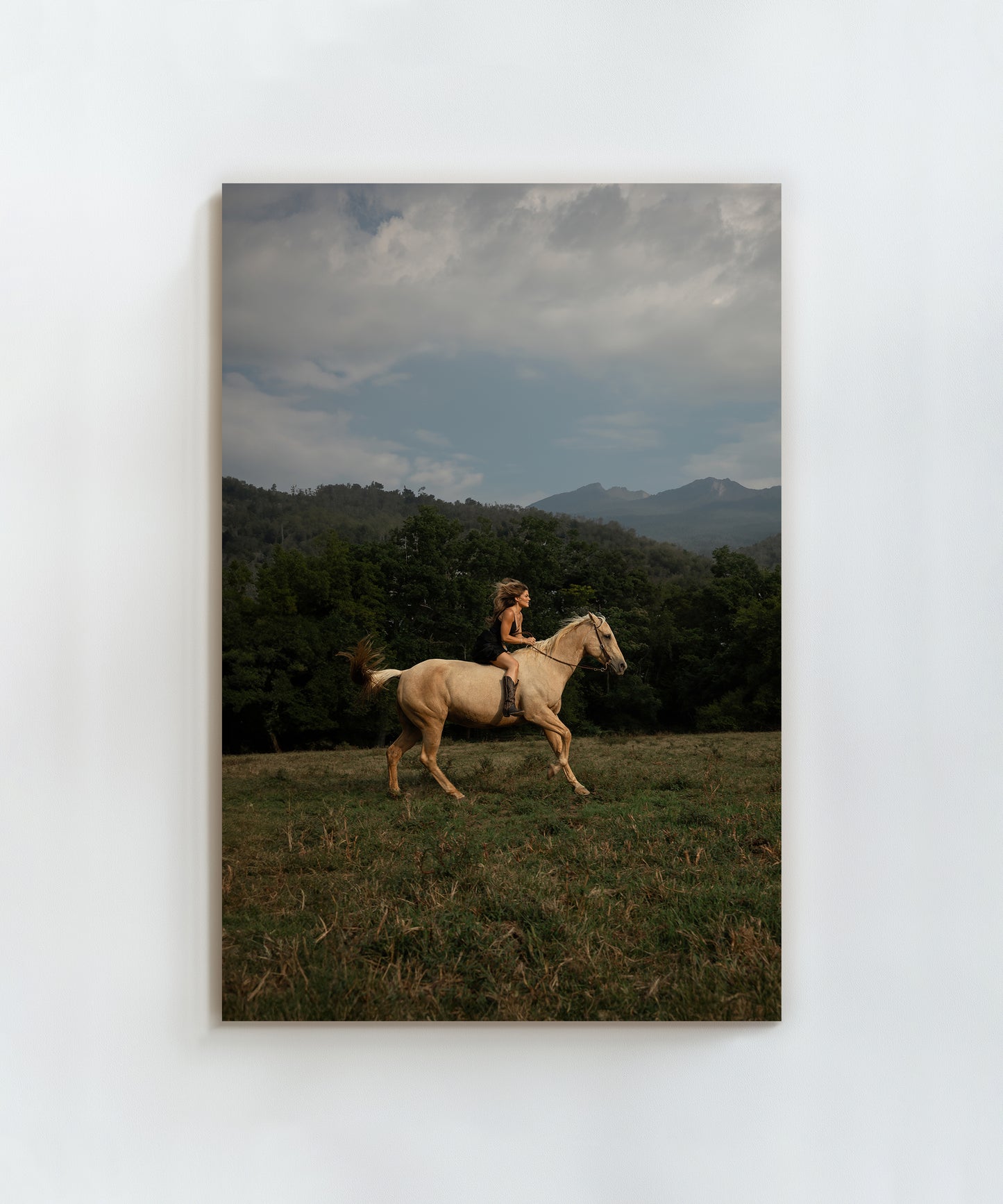 Wild and Free by Hannah Ladd