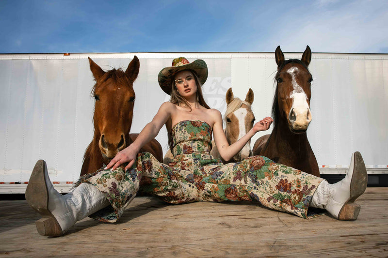 Horse Trailer by Hannah Ladd