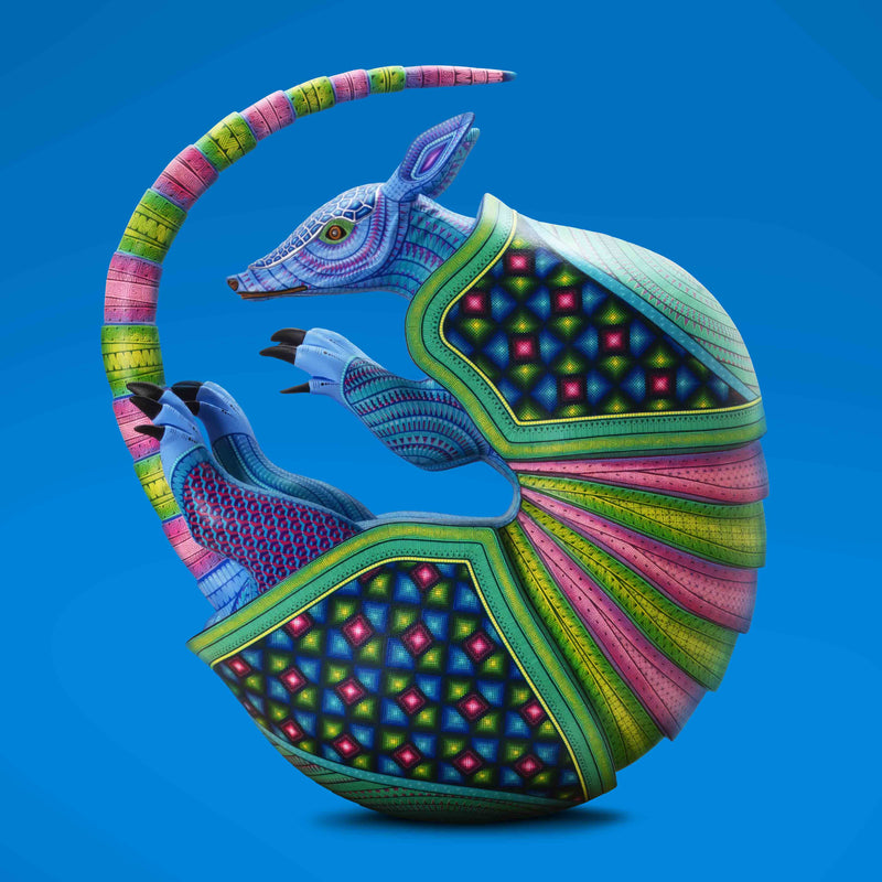 Armadillo #1 by Jacobo and María Ángeles