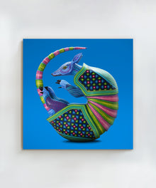 Armadillo #1 by Jacobo and María Ángeles