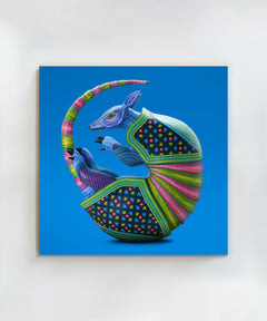 Armadillo #1 by Jacobo and María Ángeles