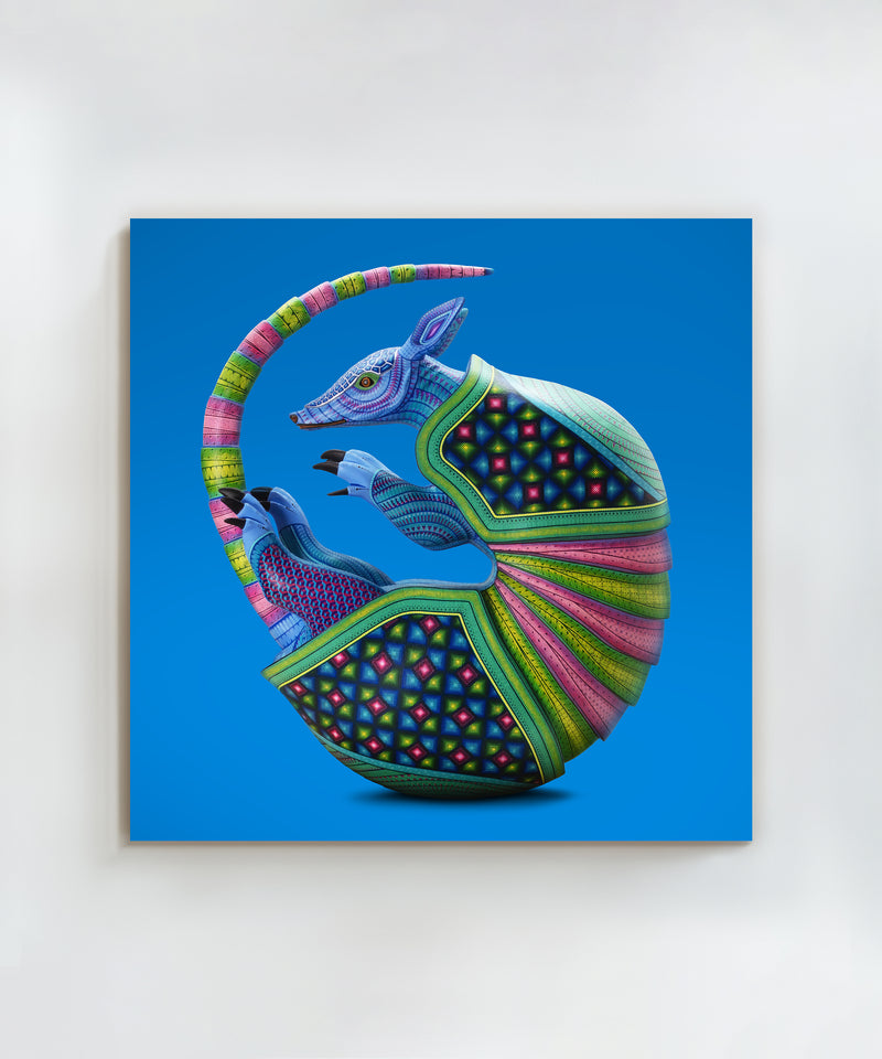 Armadillo #1 by Jacobo and María Ángeles