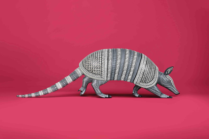 Armadillo #2 by Jacobo and María Ángeles