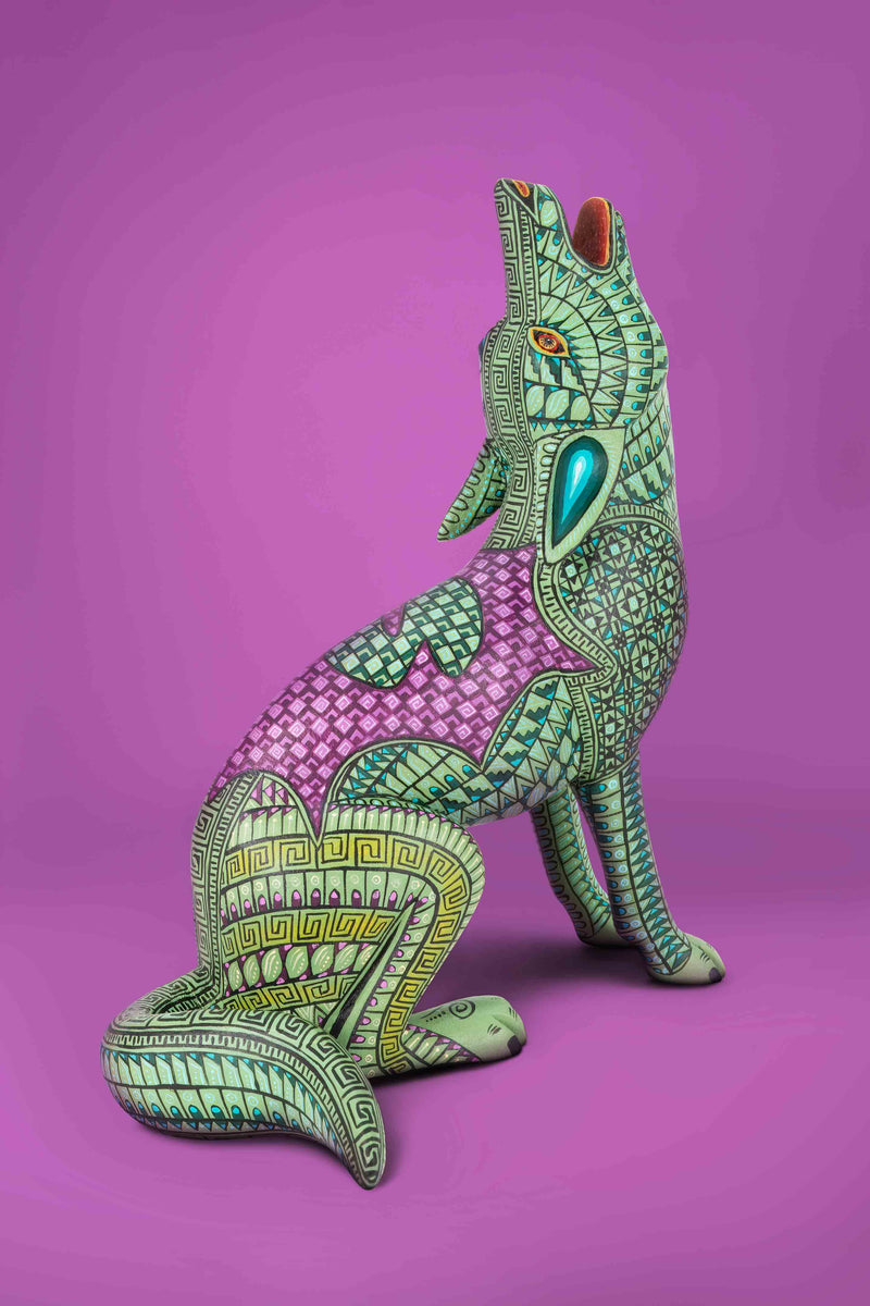 Coyote by Jacobo and María Ángeles