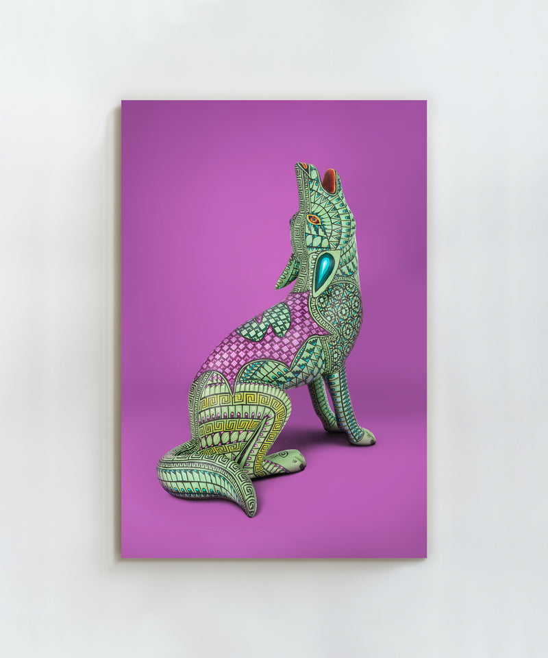 Coyote by Jacobo and María Ángeles