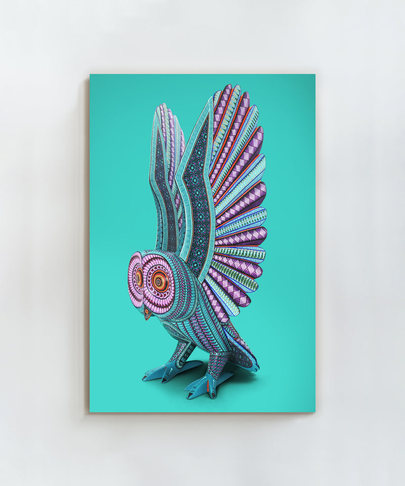 Owl by Jacobo and María Ángeles