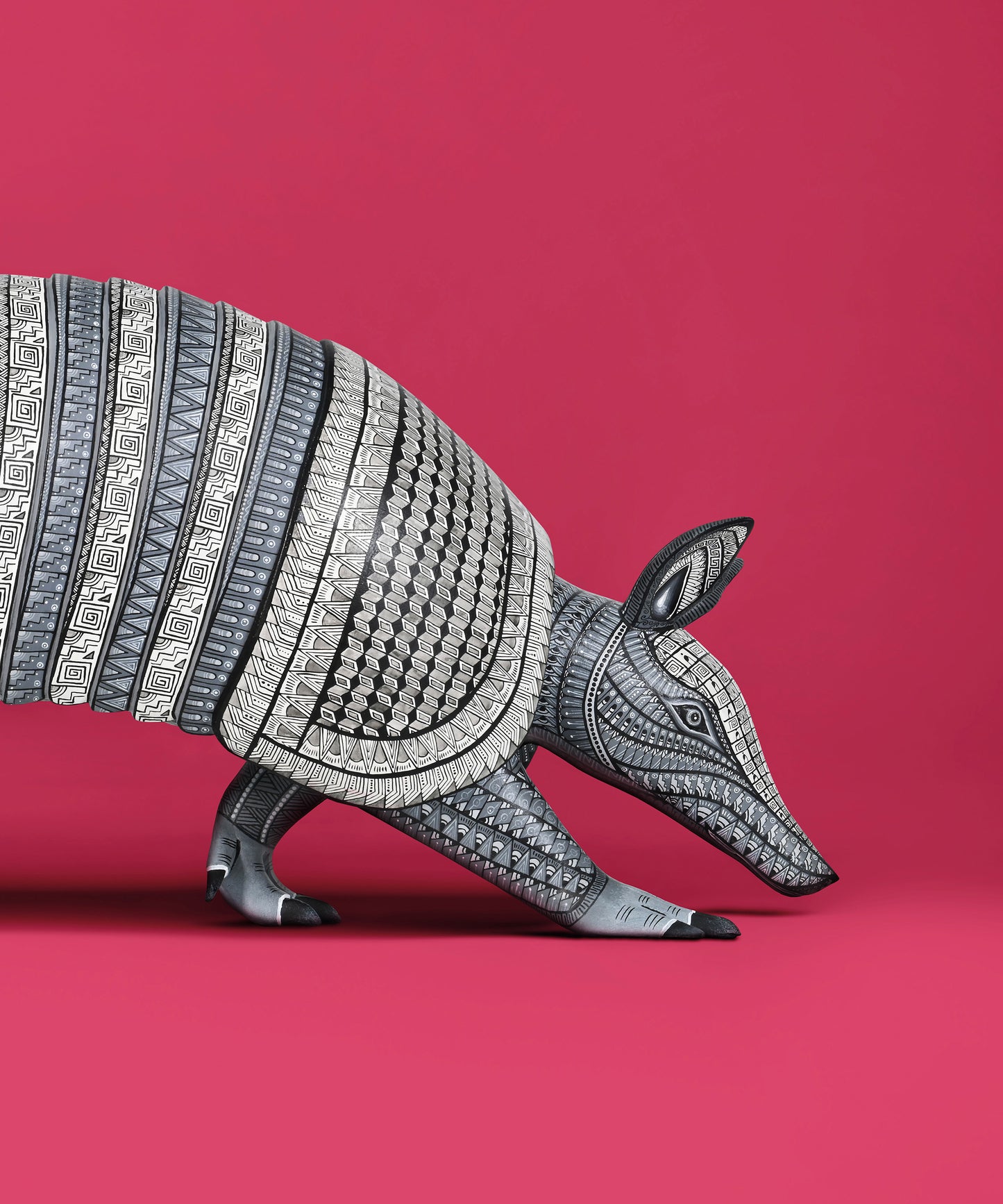 Armadillo #2 by Jacobo and María Ángeles