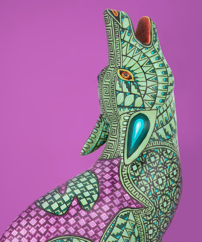 Coyote by Jacobo and María Ángeles