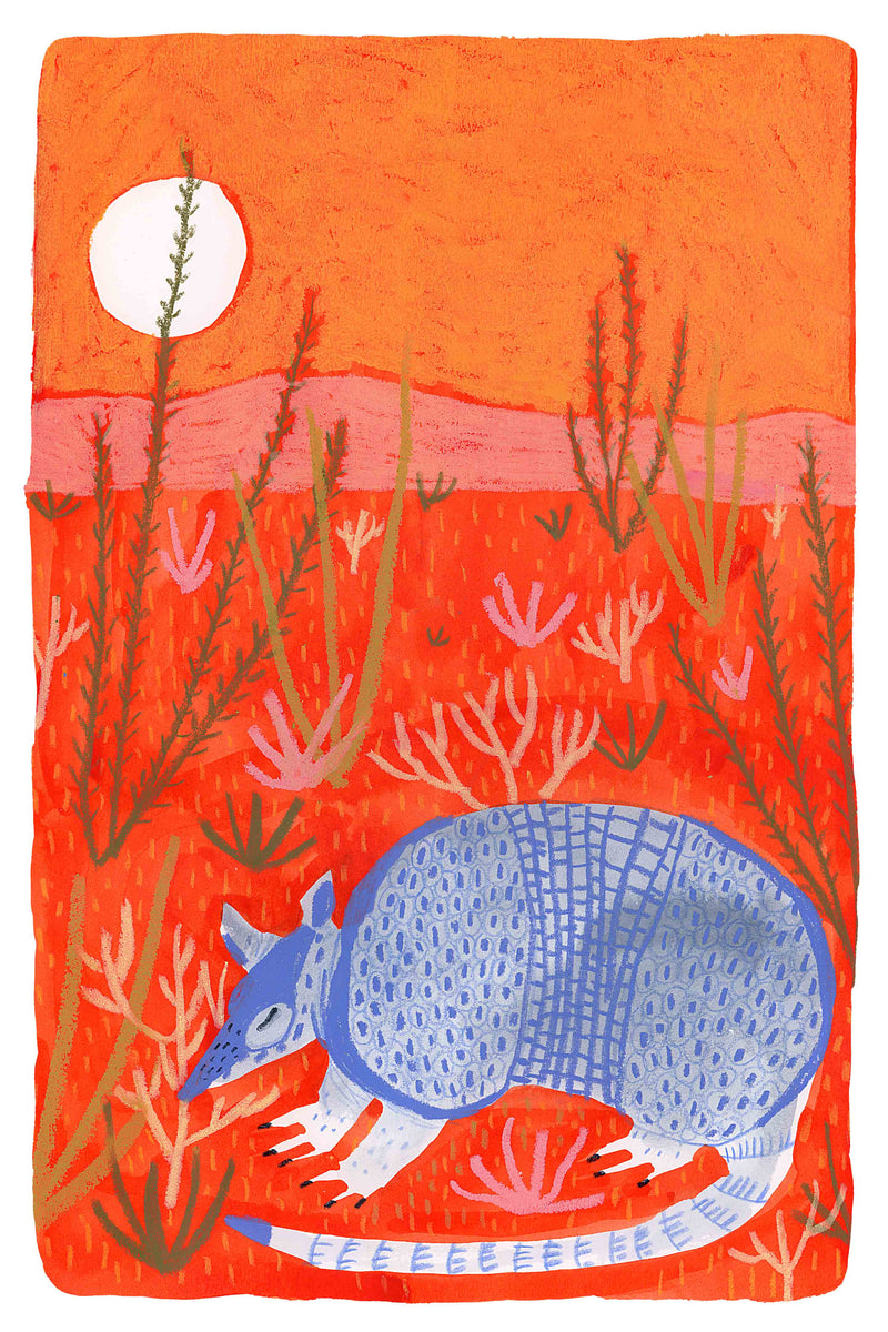 Little Armadillo by Melissa Lakey