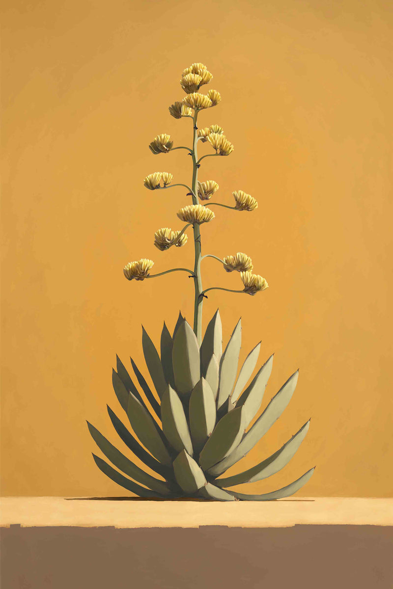 Lone Cacti Series #2 of 3 - Agave by Head West Studio