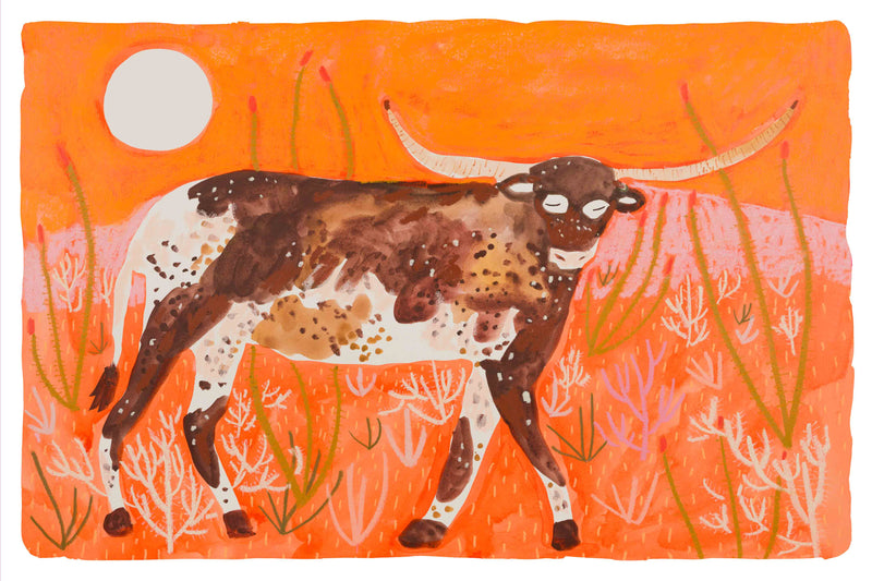 Desert Longhorn by Melissa Lakey