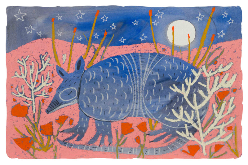 Moonlight Armadillo by Melissa Lakey