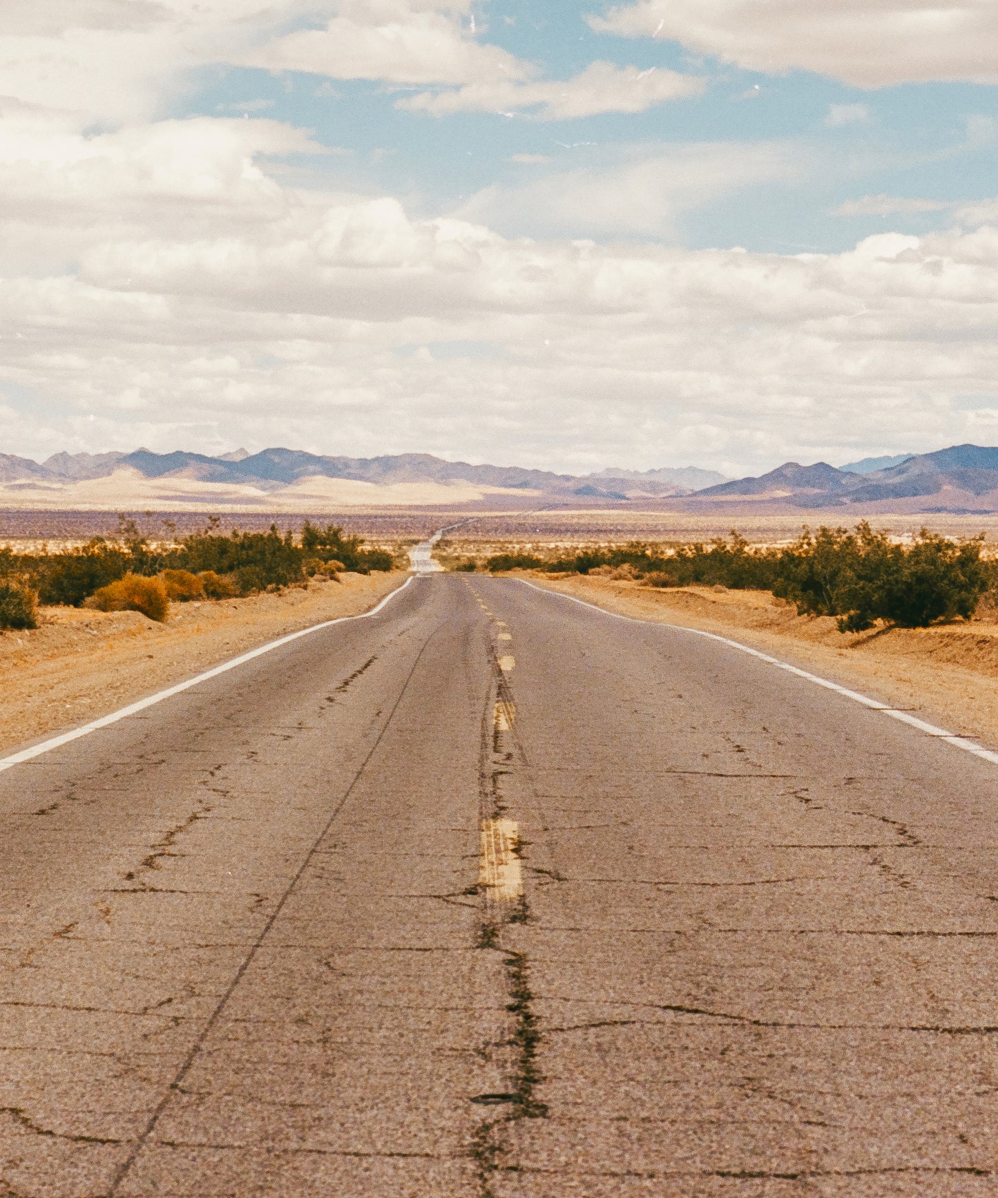 Open Road by Cam Mackey