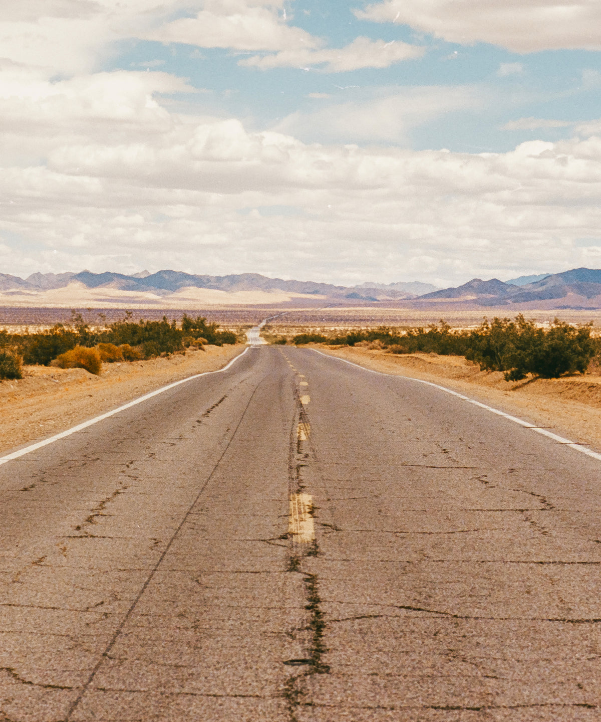 Open Road by Cam Mackey